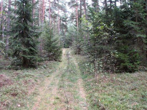 Foto 18